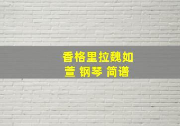 香格里拉魏如萱 钢琴 简谱